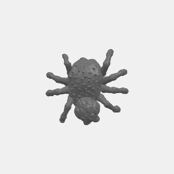 Sablebadger-Mini-Spider 3 v1.0.stl