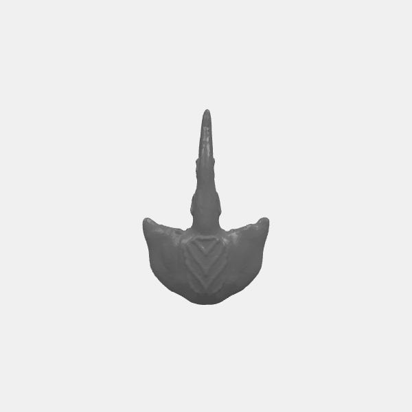 Billions Suns - Xylen Bioships Fleet - Ship Mass 1 - Small Utility v1.0.stl