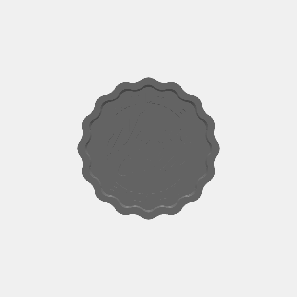 SB3D - Fallout Factions Tokens - Initiative v1.0.stl