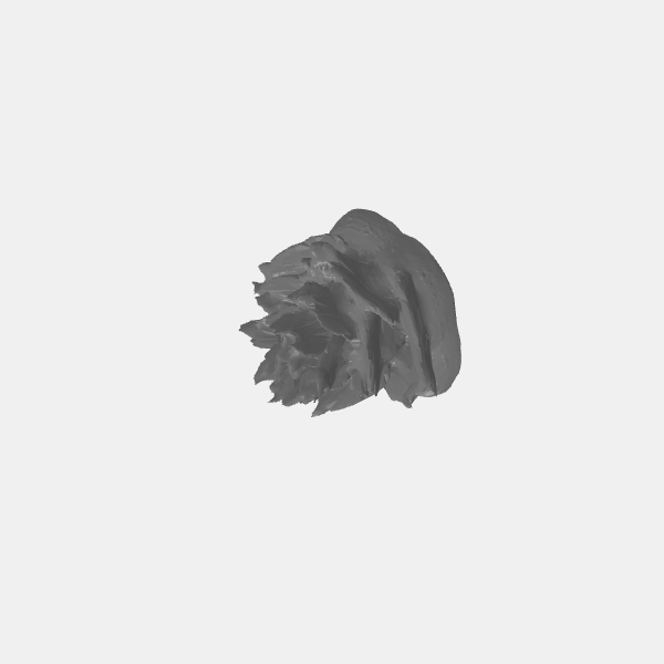 Alien Flora - Small Radial Leaf Shrub 2 v1.0.stl