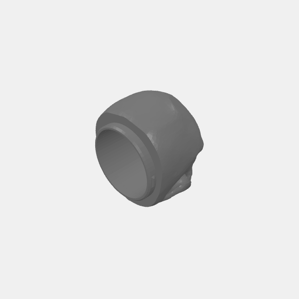 Skull Dice Cup - Skull standard v1.9.stl