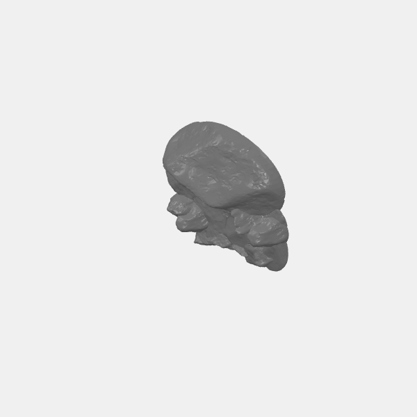 Fantasy - Rock Cluster - Monster Den v1.3.stl